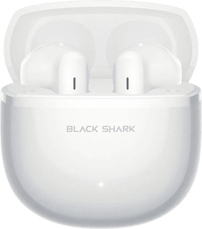 T24